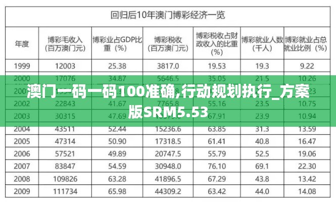 澳门一码一码100准确,行动规划执行_方案版SRM5.53