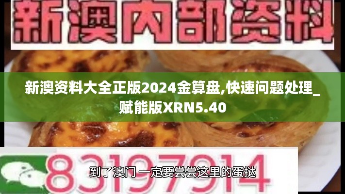 新澳资料大全正版2024金算盘,快速问题处理_赋能版XRN5.40