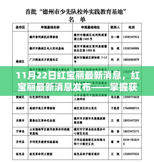 掌握红宝丽最新消息，初学者与进阶用户获取与分析信息的全面指南（最新发布）