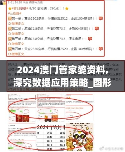 2024澳门管家婆资料,深究数据应用策略_图形版LJI5.12