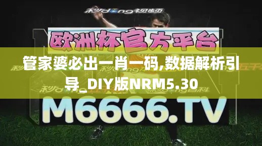 管家婆必出一肖一码,数据解析引导_DIY版NRM5.30