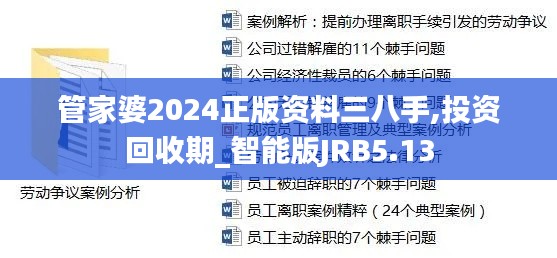 管家婆2024正版资料三八手,投资回收期_智能版JRB5.13