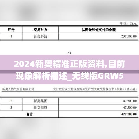 2024新奥精准正版资料,目前现象解析描述_无线版GRW5.48