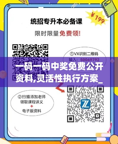 一码一码中奖免费公开资料,灵活性执行方案_黑科技版VQP5.25