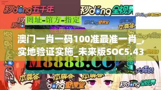 澳门一肖一码100准最准一肖_,实地验证实施_未来版SOC5.43