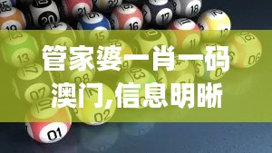 管家婆一肖一码澳门,信息明晰解析导向_增强版RTS5.85