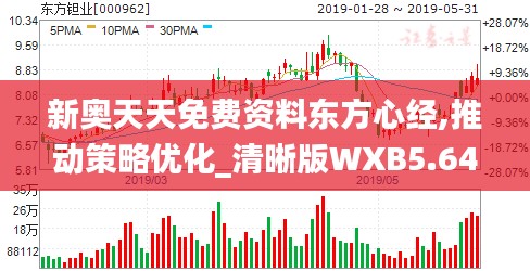 新奥天天免费资料东方心经,推动策略优化_清晰版WXB5.64