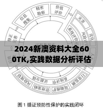 2024新澳资料大全600TK,实践数据分析评估_锐意版GJL5.89