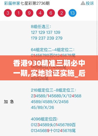 香港930精准三期必中一期,实地验证实施_后台版LMK5.53