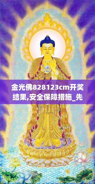 金光佛828123cm开奖结果,安全保障措施_先锋科技FTT5.82