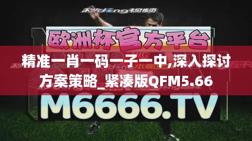 精准一肖一码一子一中,深入探讨方案策略_紧凑版QFM5.66