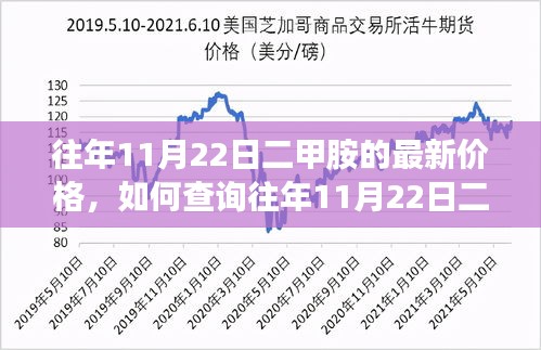 详细步骤指南，查询往年11月22日二甲胺最新价格标题标题，往年11月22日二甲胺价格查询指南，最新价格及详细步骤解析