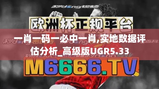 一肖一码一必中一肖,实地数据评估分析_高级版UGR5.33