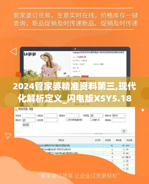 2024管家婆精准资料第三,现代化解析定义_闪电版XSY5.18