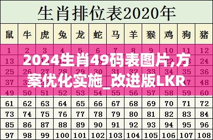 2024生肖49码表图片,方案优化实施_改进版LKR5.75