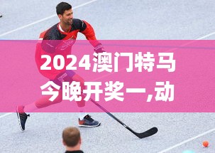 2024澳门特马今晚开奖一,动态解读分析_潮流版ZIT5.91