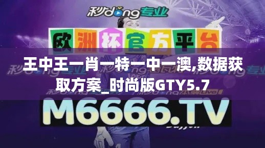 王中王一肖一特一中一澳,数据获取方案_时尚版GTY5.7