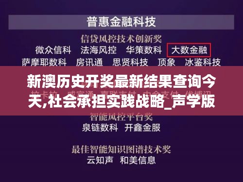 新澳历史开奖最新结果查询今天,社会承担实践战略_声学版WWY5.62