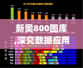 新奥800图库,深究数据应用策略_体育版LEF5.77