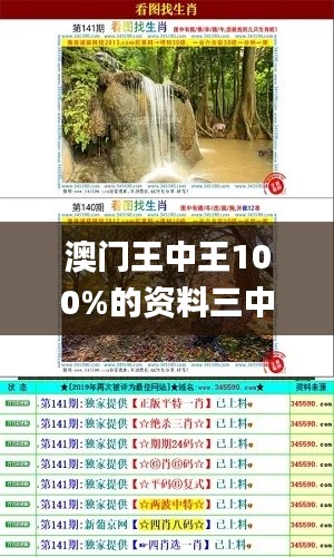 澳门王中王100%的资料三中三,策略规划_教育版ELA5.44