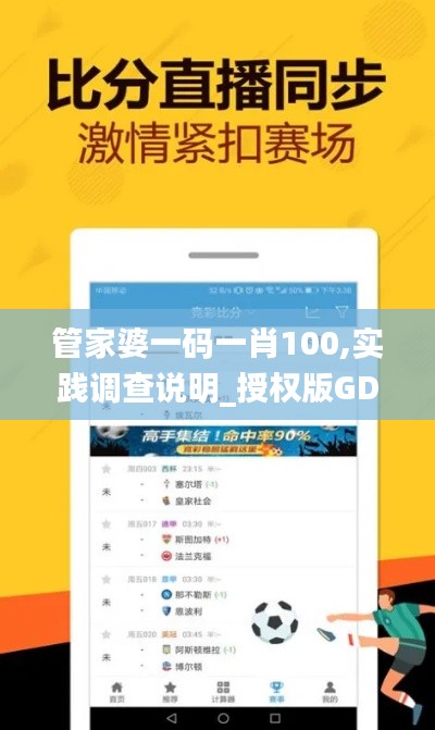 管家婆一码一肖100,实践调查说明_授权版GDM5.20