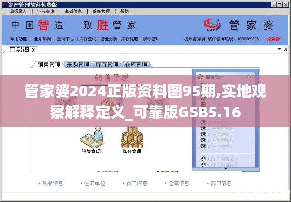 管家婆2024正版资料图95期,实地观察解释定义_可靠版GSB5.16