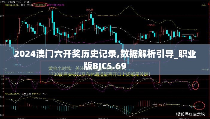 2024澳门六开奖历史记录,数据解析引导_职业版BJC5.69