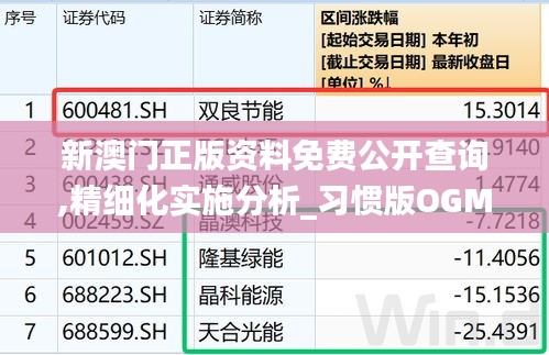 新澳门正版资料免费公开查询,精细化实施分析_习惯版OGM5.55