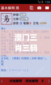 澳门三肖三码精准100%新华字典,快速实施解答研究_快速版XSF5.48