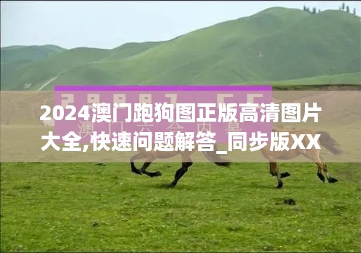 2024澳门跑狗图正版高清图片大全,快速问题解答_同步版XXS5.10