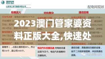 2023澳门管家婆资料正版大全,快速处理计划_物联网版IWW5.42