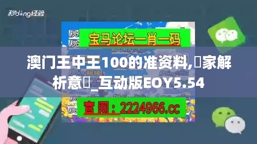 澳门王中王100的准资料,專家解析意見_互动版EOY5.54