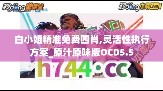 白小姐精准免费四肖,灵活性执行方案_原汁原味版OCD5.5