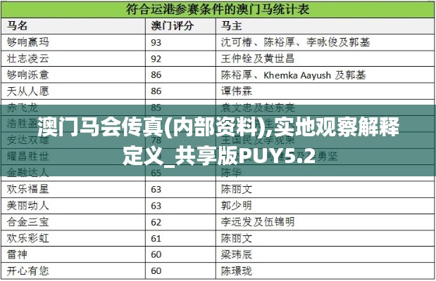 澳门马会传真(内部资料),实地观察解释定义_共享版PUY5.2