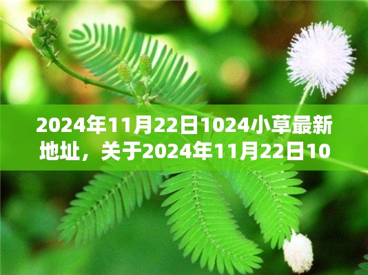 关于最新地址解析与科普，2024年11月22日1024小草的探讨