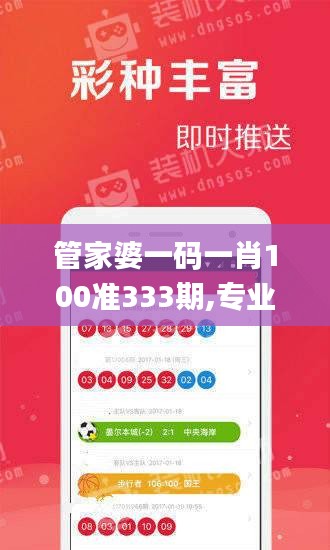 管家婆一码一肖100准333期,专业解读方案实施_启动版RTZ11.49