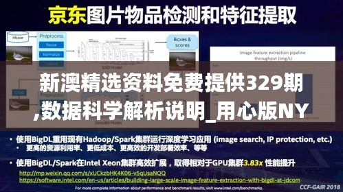 新澳精选资料免费提供329期,数据科学解析说明_用心版NYR11.64