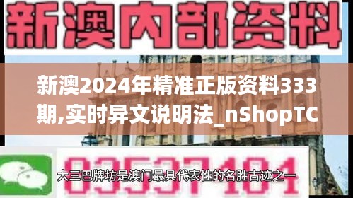 新澳2024年精准正版资料333期,实时异文说明法_nShopTCE11.73