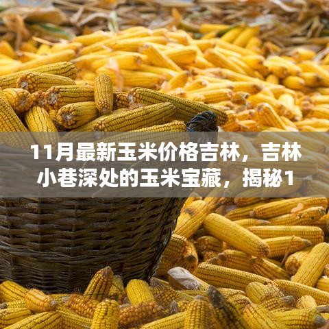 吉林玉米揭秘，小巷深处的宝藏与最新价格揭秘的特色小店魅力