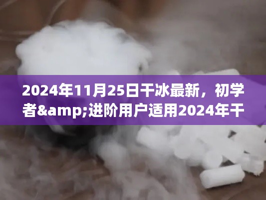 2024年干冰最新应用实践指南，适合初学者与进阶用户