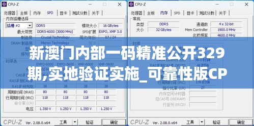 新澳门内部一码精准公开329期,实地验证实施_可靠性版CPU11.51