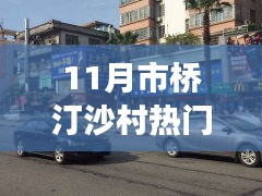 市桥汀沙村十一月热门事件回顾，时代印记下的乡村风云