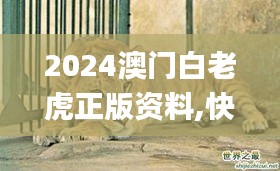 2024澳门白老虎正版资料,快速问题解答_配送版MOW13.52