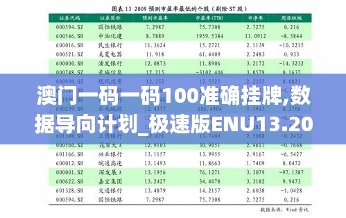 澳门一码一码100准确挂牌,数据导向计划_极速版ENU13.20