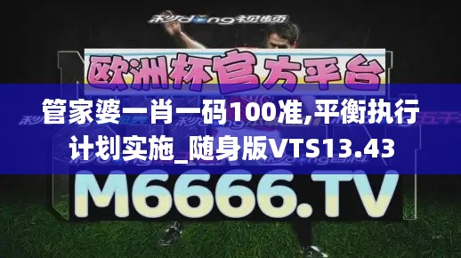 管家婆一肖一码100准,平衡执行计划实施_随身版VTS13.43