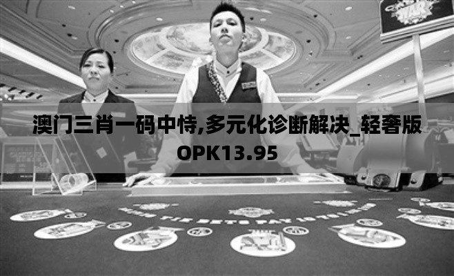 澳门三肖一码中恃,多元化诊断解决_轻奢版OPK13.95