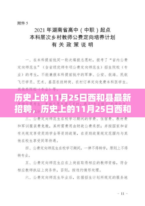 历史上的11月25日西和县招聘演变与深度分析，招聘变迁及其影响