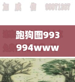 跑狗图993994www跑狗玄机,深入研究执行计划_数字处理版TPW13.40