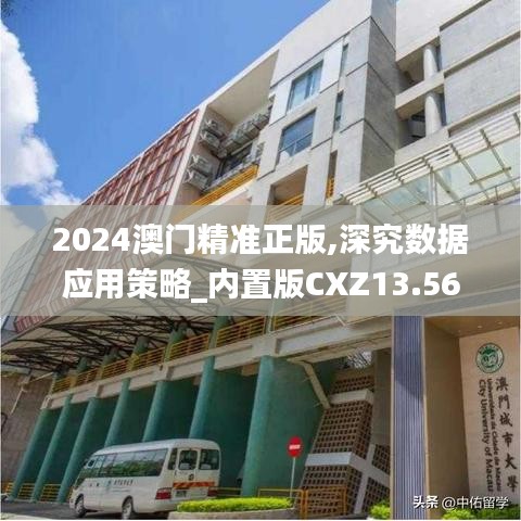 2024澳门精准正版,深究数据应用策略_内置版CXZ13.56