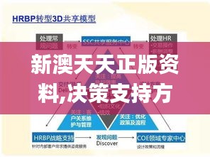 新澳天天正版资料,决策支持方案_线上版FYZ13.44